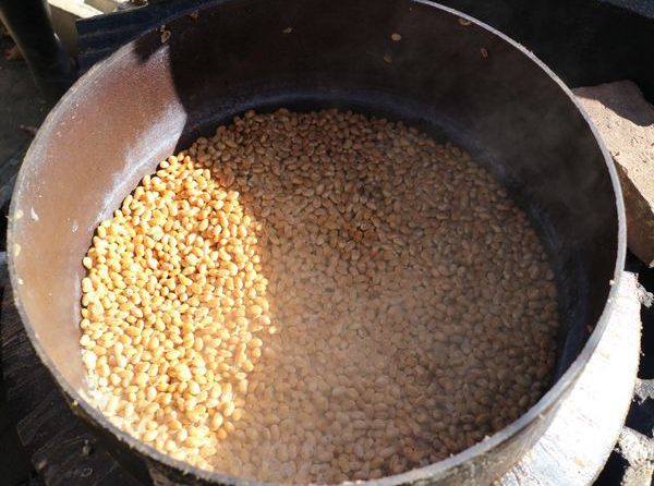 収穫した大豆で味噌仕込み！～「食農めぐるオーガニックプロジェクト」レポート